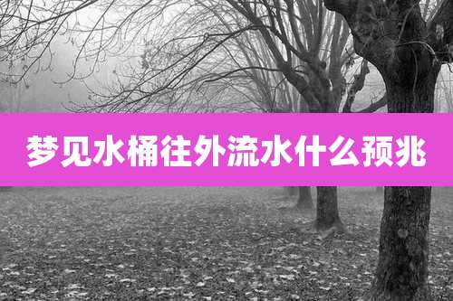 梦见水桶往外流水什么预兆