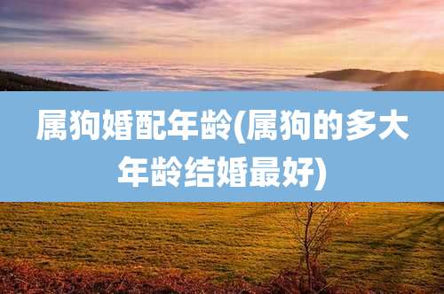 属狗婚配年龄(属狗的多大年龄结婚最好)