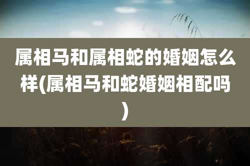 属相马和属相蛇的婚姻怎么样(属相马和蛇婚姻相配吗)