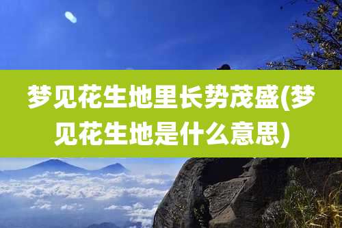 梦见花生地里长势茂盛(梦见花生地是什么意思)