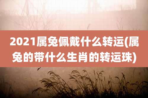 2021属兔佩戴什么转运(属兔的带什么生肖的转运珠)