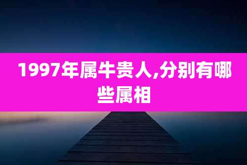 1997年属牛贵人,分别有哪些属相