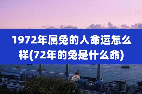 1972年属兔的人命运怎么样(72年的兔是什么命)