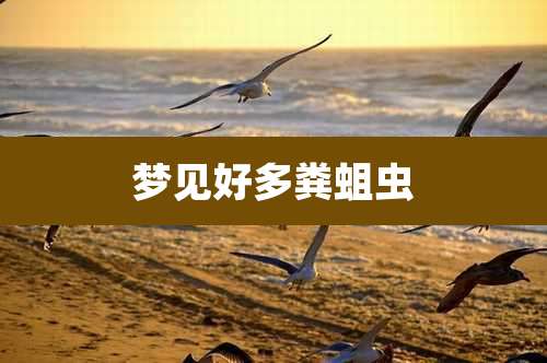 梦见好多粪蛆虫