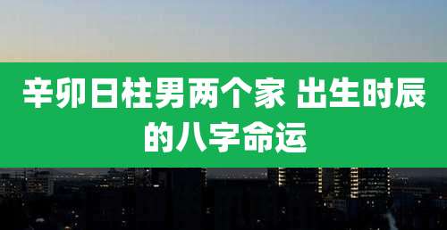 辛卯日柱男两个家 出生时辰的八字命运