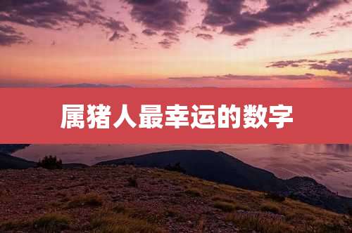 属猪人最幸运的数字