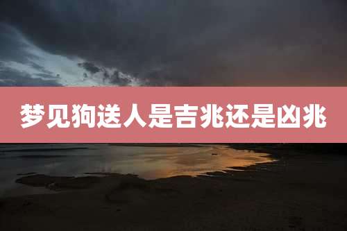 梦见狗送人是吉兆还是凶兆