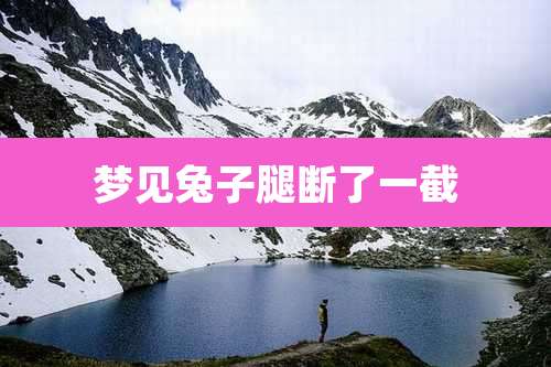 梦见兔子腿断了一截