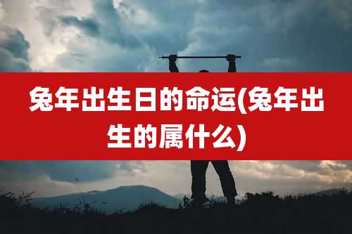 兔年出生日的命运(兔年出生的属什么)