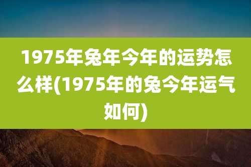 1975年兔年今年的运势怎么样(1975年的兔今年运气如何)