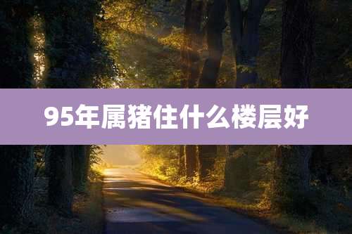 95年属猪住什么楼层好
