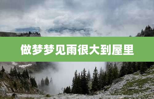 做梦梦见雨很大到屋里