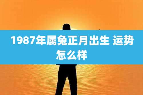 1987年属兔正月出生 运势怎么样