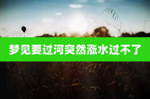 梦见要过河突然涨水过不了