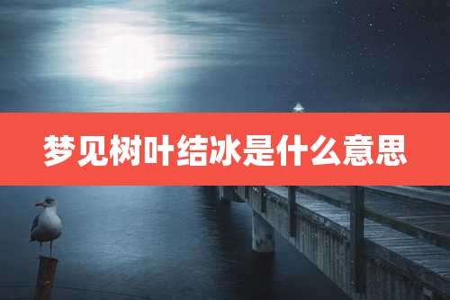 梦见树叶结冰是什么意思