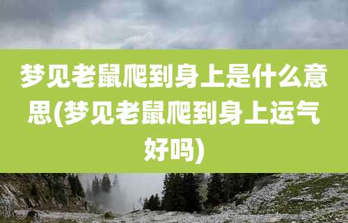 梦见老鼠爬到身上是什么意思(梦见老鼠爬到身上运气好吗)