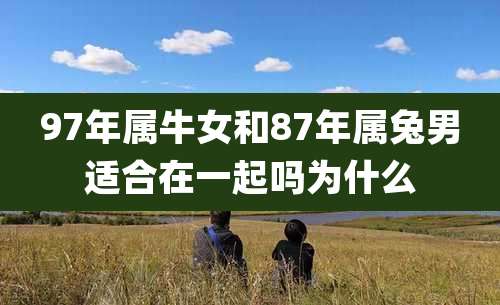 97年属牛女和87年属兔男适合在一起吗为什么