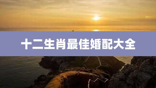 十二生肖最佳婚配大全