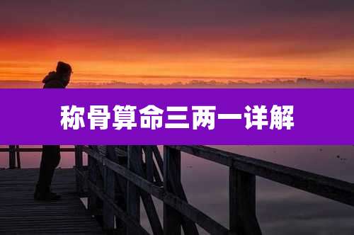 称骨算命三两一详解