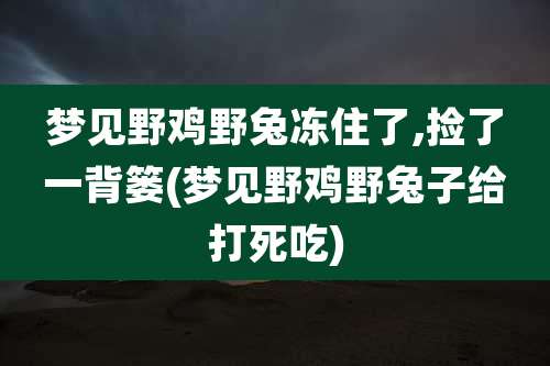 梦见野鸡野兔冻住了,捡了一背篓(梦见野鸡野兔子给打死吃)