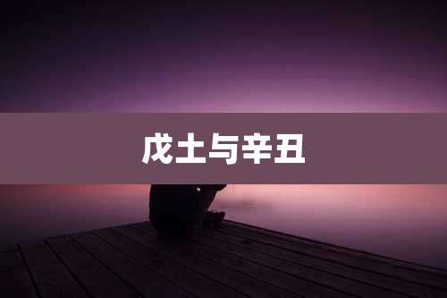 戊土与辛丑