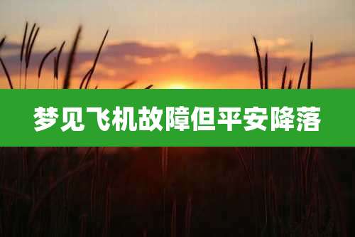 梦见飞机故障但平安降落