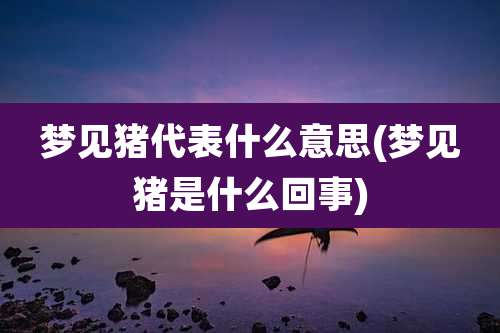 梦见猪代表什么意思(梦见猪是什么回事)