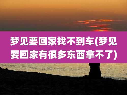 梦见要回家找不到车(梦见要回家有很多东西拿不了)