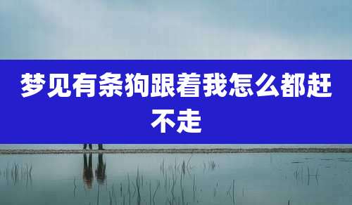 梦见有条狗跟着我怎么都赶不走