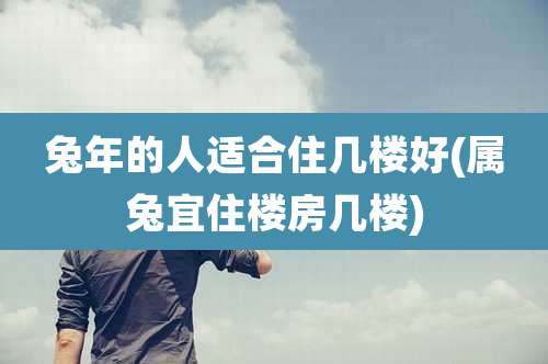 兔年的人适合住几楼好(属兔宜住楼房几楼)