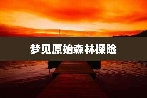 梦见原始森林探险