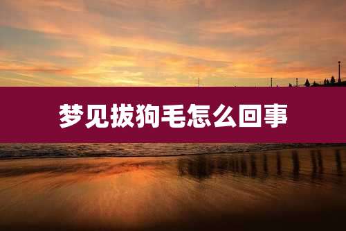 梦见拔狗毛怎么回事
