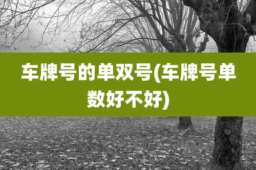 车牌号的单双号(车牌号单数好不好)