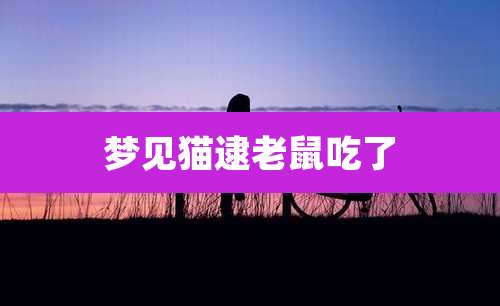 梦见猫逮老鼠吃了