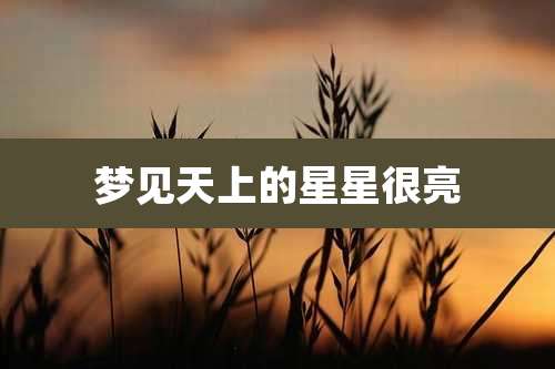 梦见天上的星星很亮