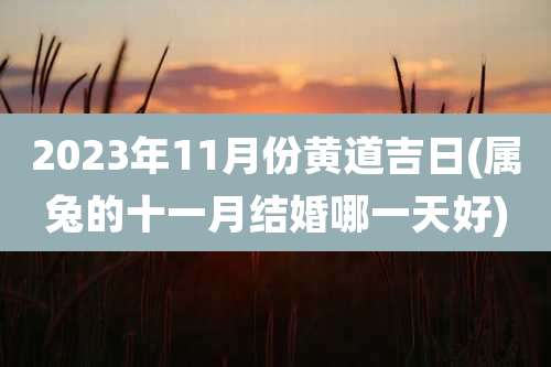 2023年11月份黄道吉日(属兔的十一月结婚哪一天好)