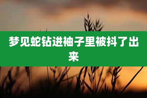 梦见蛇钻进袖子里被抖了出来