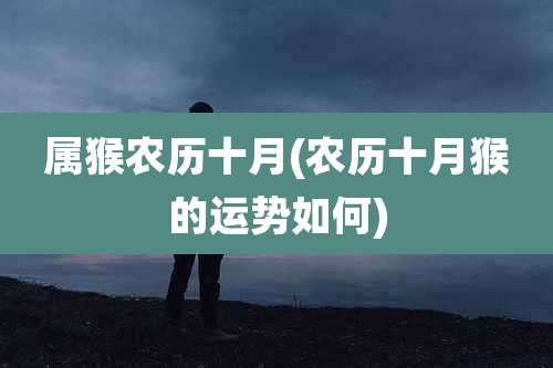 属猴农历十月(农历十月猴的运势如何)