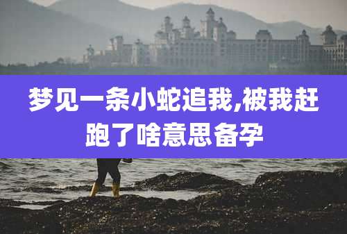 梦见一条小蛇追我,被我赶跑了啥意思备孕