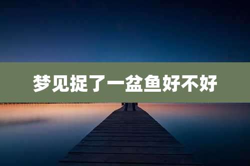 梦见捉了一盆鱼好不好