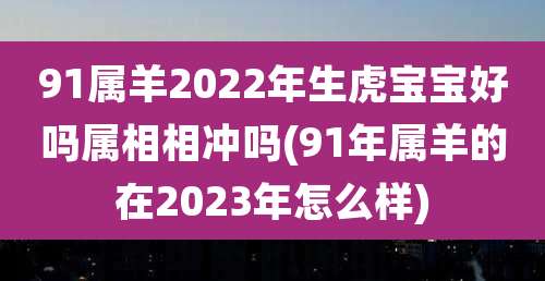 91属羊2022年生虎宝宝好吗属相相冲吗(91年属羊的在2023年怎么样)