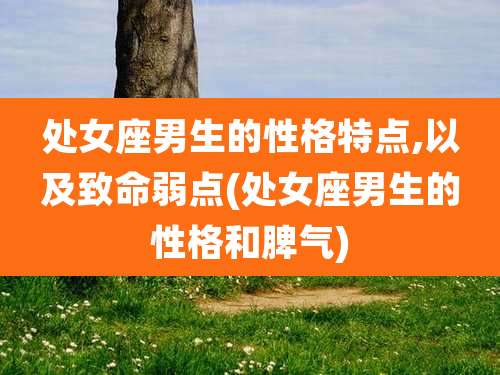 处女座男生的性格特点,以及致命弱点(处女座男生的性格和脾气)