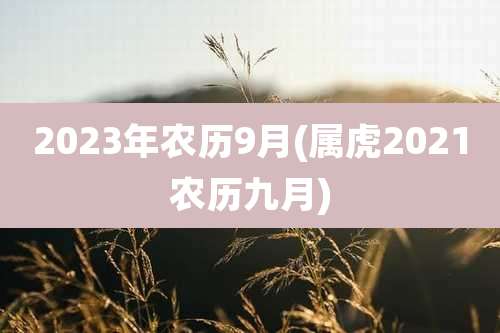 2023年农历9月(属虎2021农历九月)