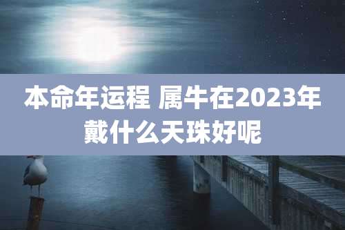 本命年运程 属牛在2023年戴什么天珠好呢