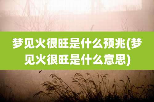 梦见火很旺是什么预兆(梦见火很旺是什么意思)