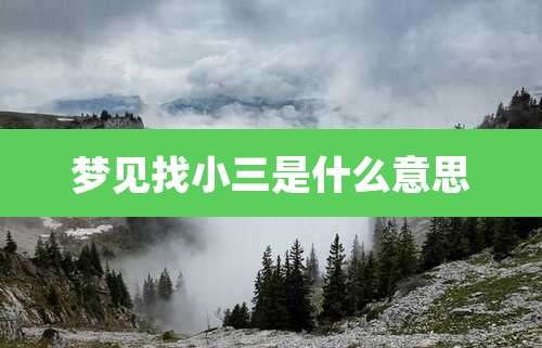 梦见找小三是什么意思