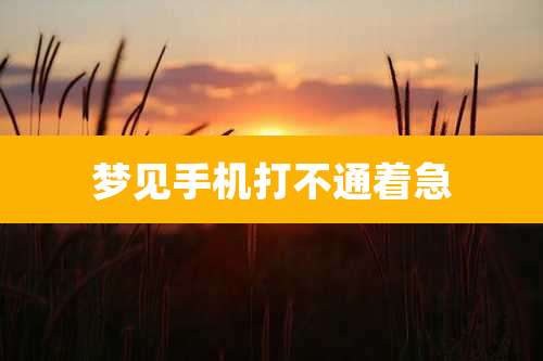 梦见手机打不通着急