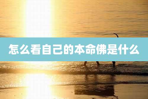 怎么看自己的本命佛是什么