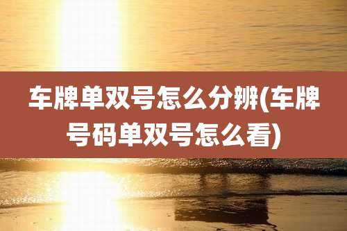 车牌单双号怎么分辨(车牌号码单双号怎么看)