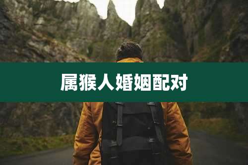 属猴人婚姻配对